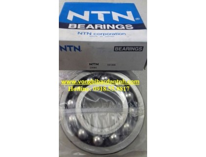 BẠC ĐẠN 2309 NTN